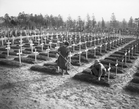 Members of the Women’s Auxiliary Army Corps (WAAC) tend graves in Abbeville in France in February 1918. Q 8467